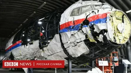 Малазийский "Боинг" был сбит российским "Буком" – ПАСЕ