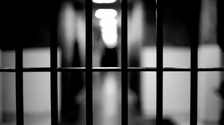 «Алматы спецтехпаркинг сервис» ЖШС директорын қамауға алу мерзімі ұзартылды