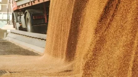 Экспорт пшеницы увеличился на 64% в натуральном выражении и сразу вдвое – в денежном