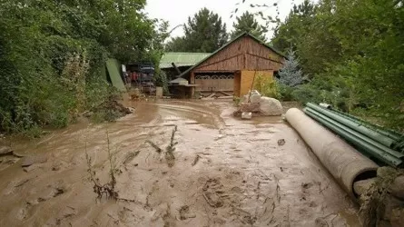 Сель сошел на село в Жамбылской области