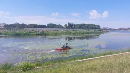 Около 30 тонн мусора вывезли с рек в Нур-Султане