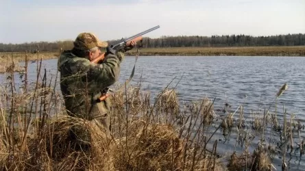 На каких животных разрешено охотиться в Казахстане?