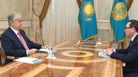 Алматы облысының әкімі Президентке экономиканың қай секторларына ерекше көңіл бөлетінін айтты