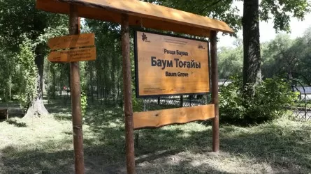 Алматы әкімдігі Баум тоғайын қайта жаңғыртудың ауқымды жобасын әзірлеуде
