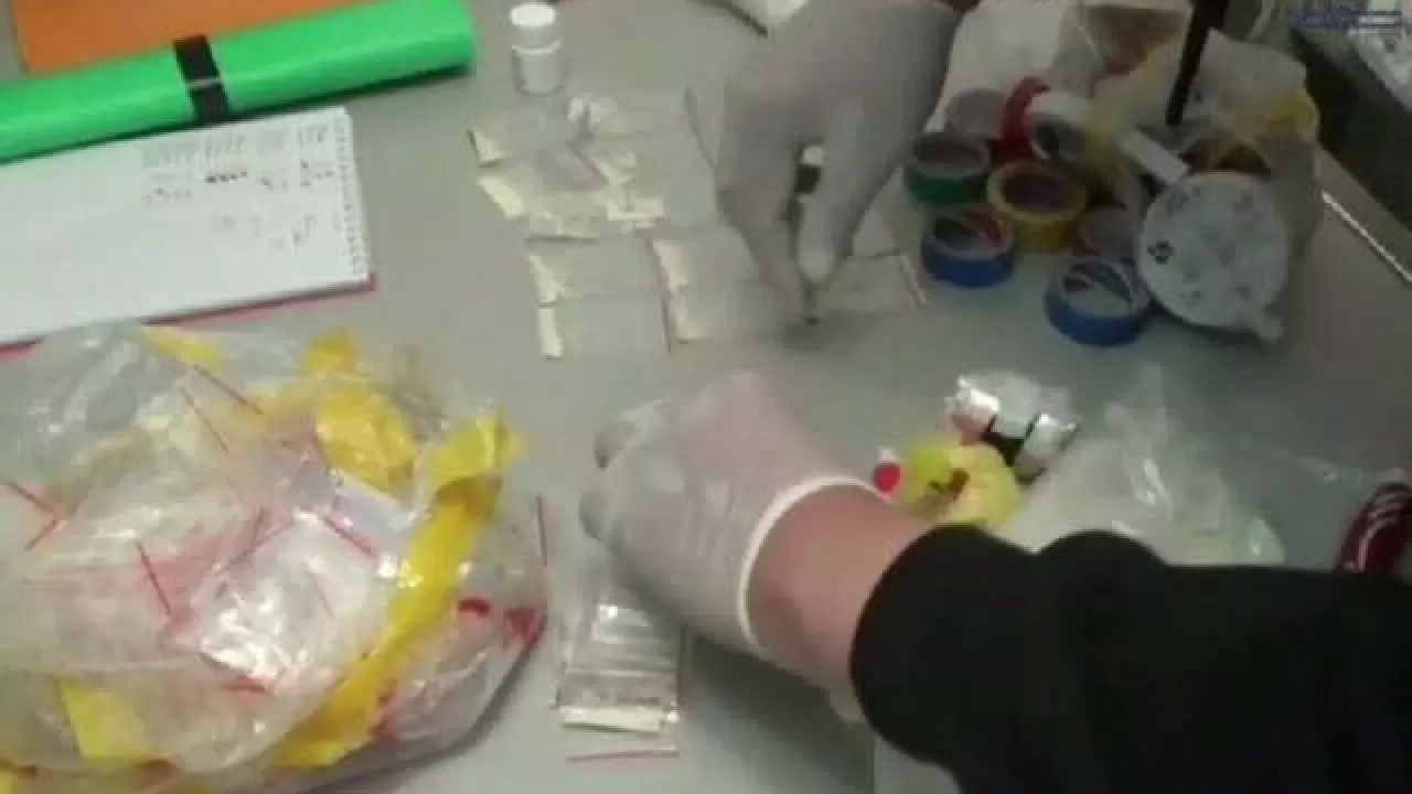 Павлодарда есірткі сатумен айналысқан қылмыстық топ ұсталды
