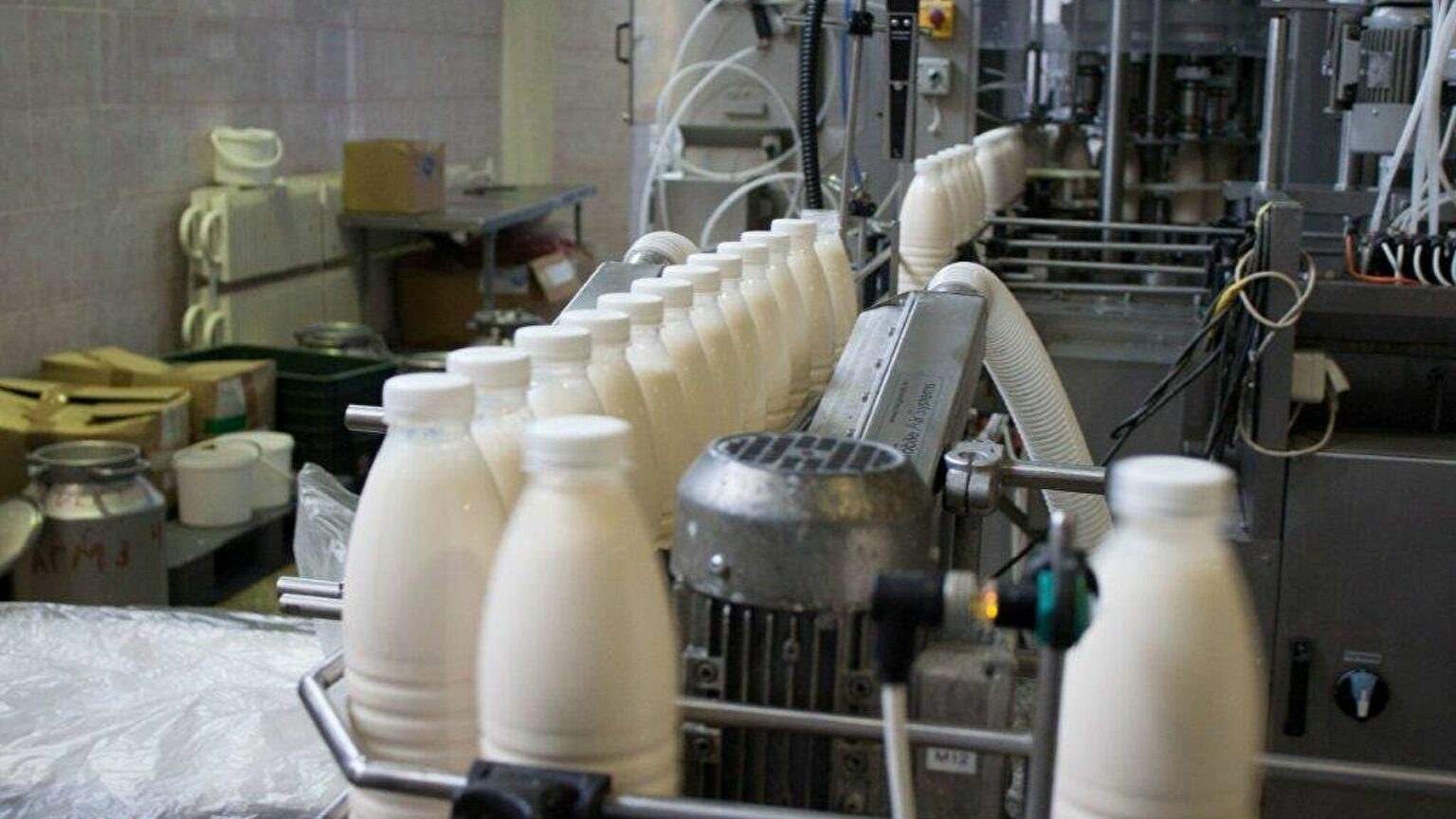 В Казахстане резко подорожало молоко