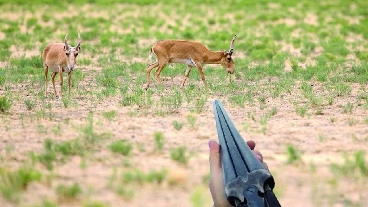 Резеңке етіктегі порно