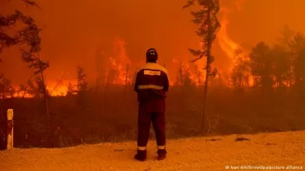 Лесные пожары пылают на востоке ФРГ и в Чехии