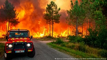 В Британии из-за рекордной жары объявлен красный уровень опасности.