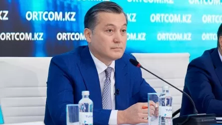 Платформу для связи недропользователей с госорганами запустят в Казахстане