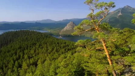 Биыл елде туристер саны бірнеше есе өскен