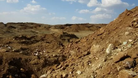 Алтынның аласапыраны: Маралды ауылының тұрғындары Президентке жүгінді