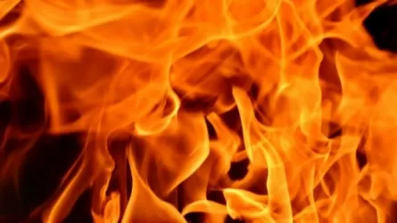 Ущерб от пожара на Алаколе составил 600 млн тг