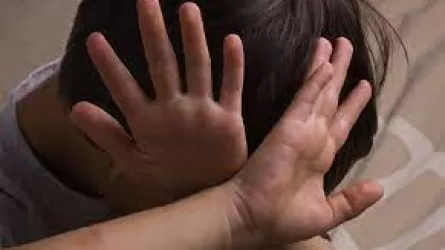 Заключенный изнасиловал 8-летнюю девочку в Петропавловске
