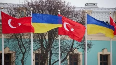 Украина Түркия елшісін "Жібек жолы" кемесіне қатысты түсінік беруге шақырады