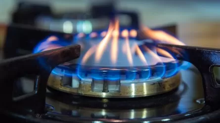 2030 жылға дейін халықтың 65%-ын көгілдір отынмен қамту жоспарланып отыр
