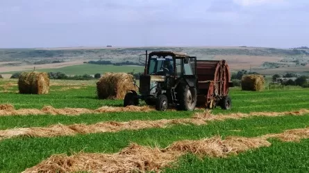 Актюбинские фермеры вздохнули с облегчением: запас кормов будет достаточным