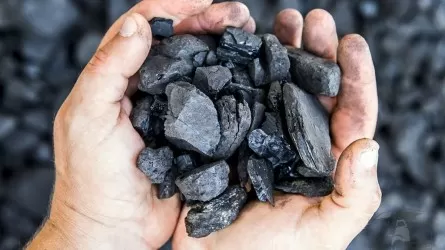 Казахстанцам рекомендовали заранее запастись углем