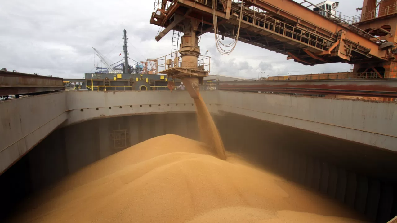 Из портов Украины уже вывезли более 650 тысяч тонн зерна