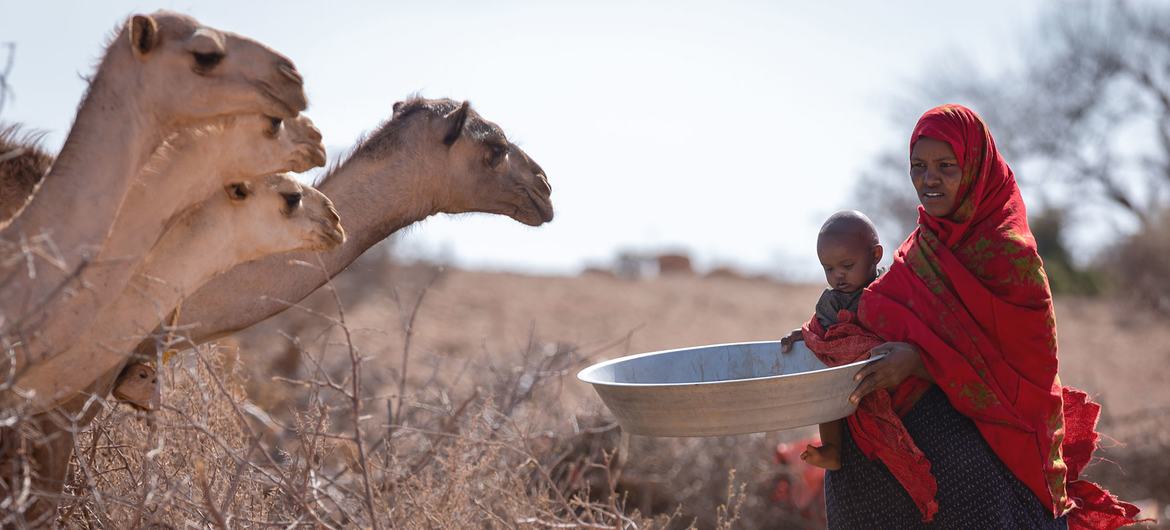 Засуха в Африке: "в шаге от катастрофы"