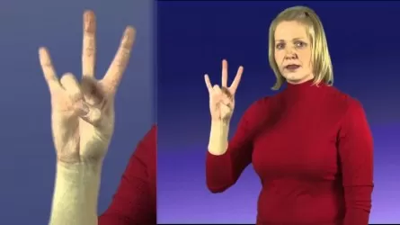 Фиктивные сделки на оказание услуг жестового языка заключали в Экибастузе