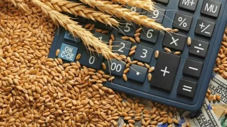 С 50% до 80% повысится субсидирование страховых премий в аграрном секторе Казахстана