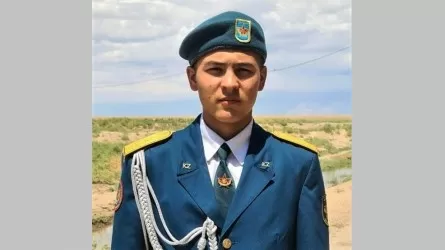 Ағайынды балалар адам өмірін сақтап қалды