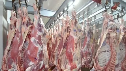 Еще 9 казахстанских предприятий смогут экспортировать конину в Японию