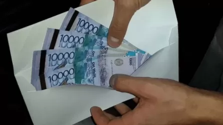 Обманула более 80 предпринимателей: дело о мошенничестве расследуют в Кызылординской области