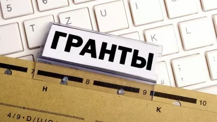 Почти 1 млн долларов выделит бюджет на гранты для создания бизнеса: кто может подать заявку?