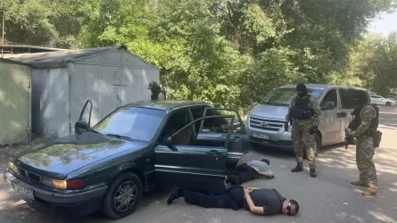 Алматылықтардың үйін үптеп жүрген "трио" ұсталды