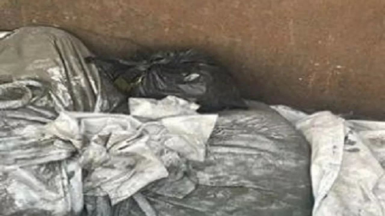 Шекарашылар 1 миллион теңге тұратын психотроптық есірткінің заңсыз айналымын тоқтатты
