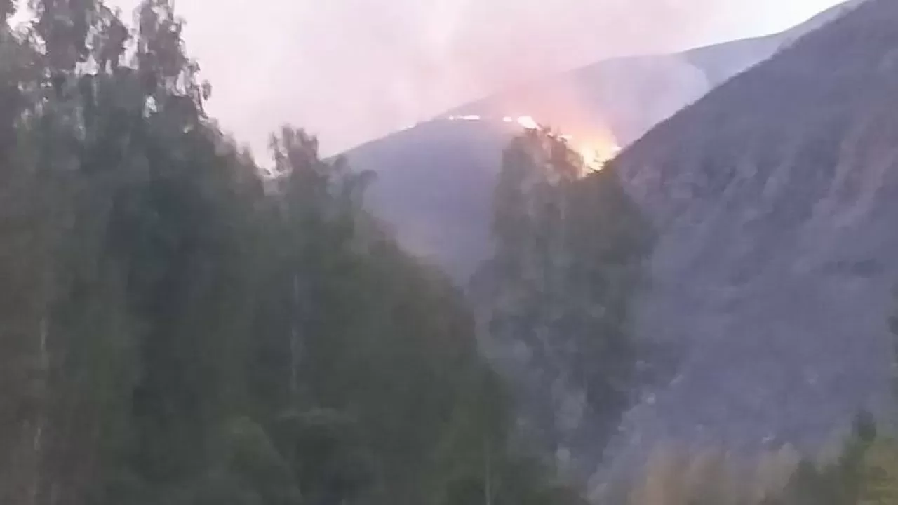 ШҚО-да Алтай ауданындағы өрт әлі толық сөндірілген жоқ