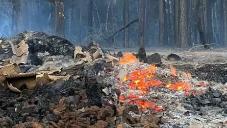 Количество пострадавших от пожаров возросло до 12 в Костанайской области  