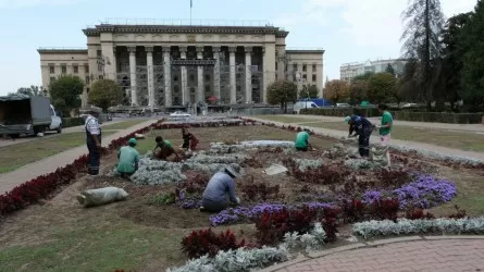 Зрители концерта вытоптали 94 тысячи цветов в Алматы