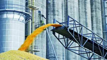 В Казахстане намолочено 20,1 млн тонн зерна