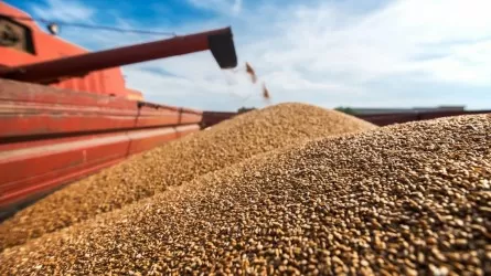 Казахстан снимет квоты на вывоз зерна и муки