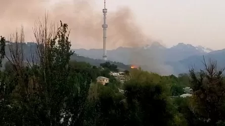 Крупный пожар тушат в Алматы на Кок-Тобе