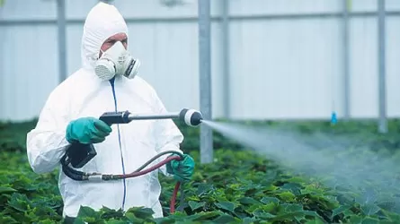 Лишь 13% необходимых пестицидов производится в Казахстане