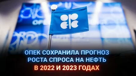 ОПЕК сохранила прогноз роста спроса на нефть в 2022 и 2023 годах 
