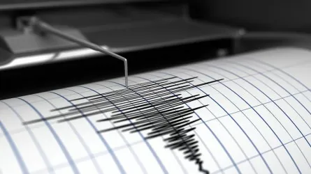 Алматинские сейсмологи сообщили о землетрясении в ночь на 5 августа