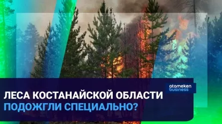 Леса Костанайской области подожгли специально? / Время говорить 7.09.2022