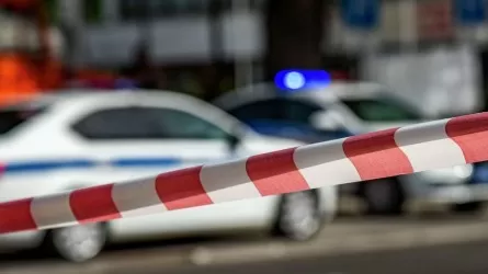 Мужчина в России ворвался в школу и стал убивать детей