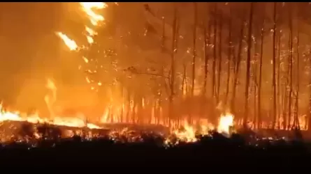 Қостанай облысына өрт сөндіруге елордадан қосымша топ аттанды