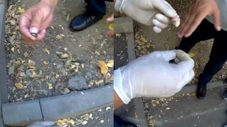 Сотни свертков синтетических наркотиков нашли полицейские у жителя Алматы