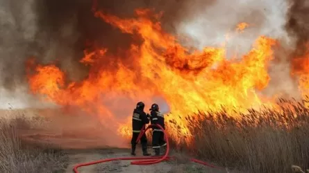 Каспий жағалауында қамыс өртеніп жатқанына төрт күн болды