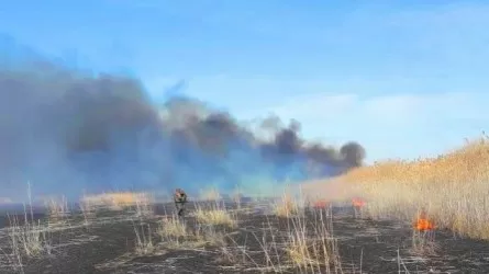 В Атырауской области горит камыш на площади в 60 га