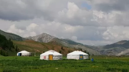 Қаптаған үйсіздерді баспанамен қамтудың жаңа тәсілін Үкімет қолдамады