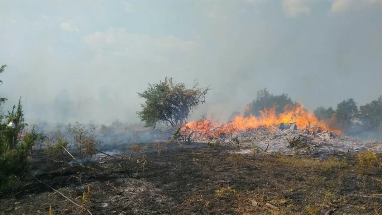 Қостанай облысындағы алапат орман өртіне трактор айдаушы кінәлі
