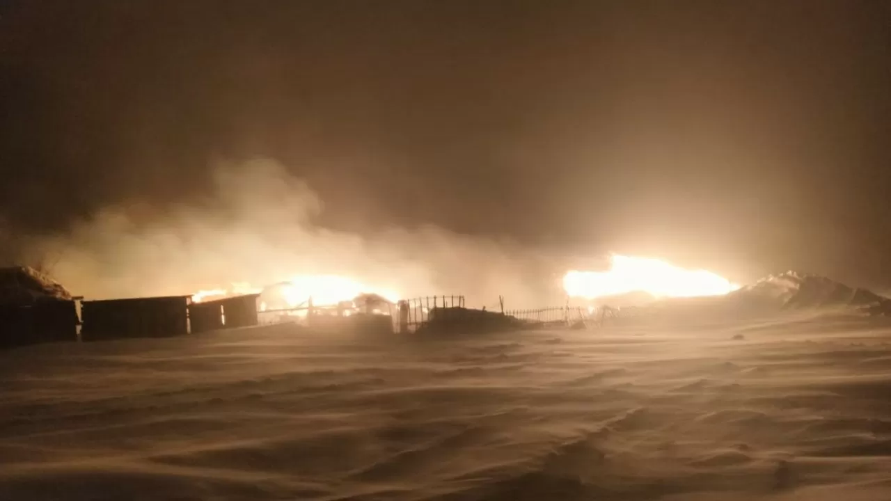 Павлодар облысында 75 тоннаға жуық шөп жанып кетті
